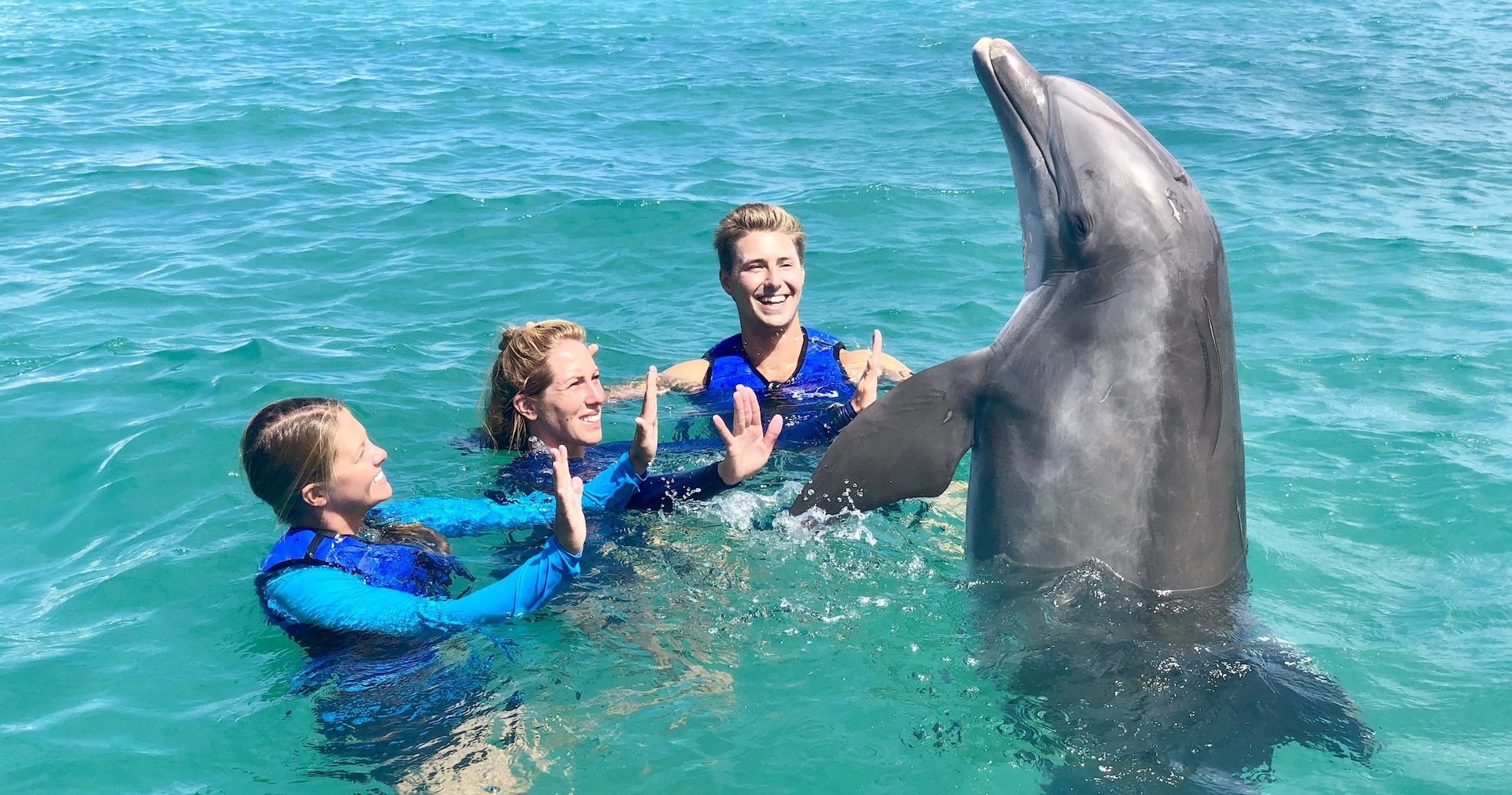 Coral World Ocean Park Dolphin Splash and Swim