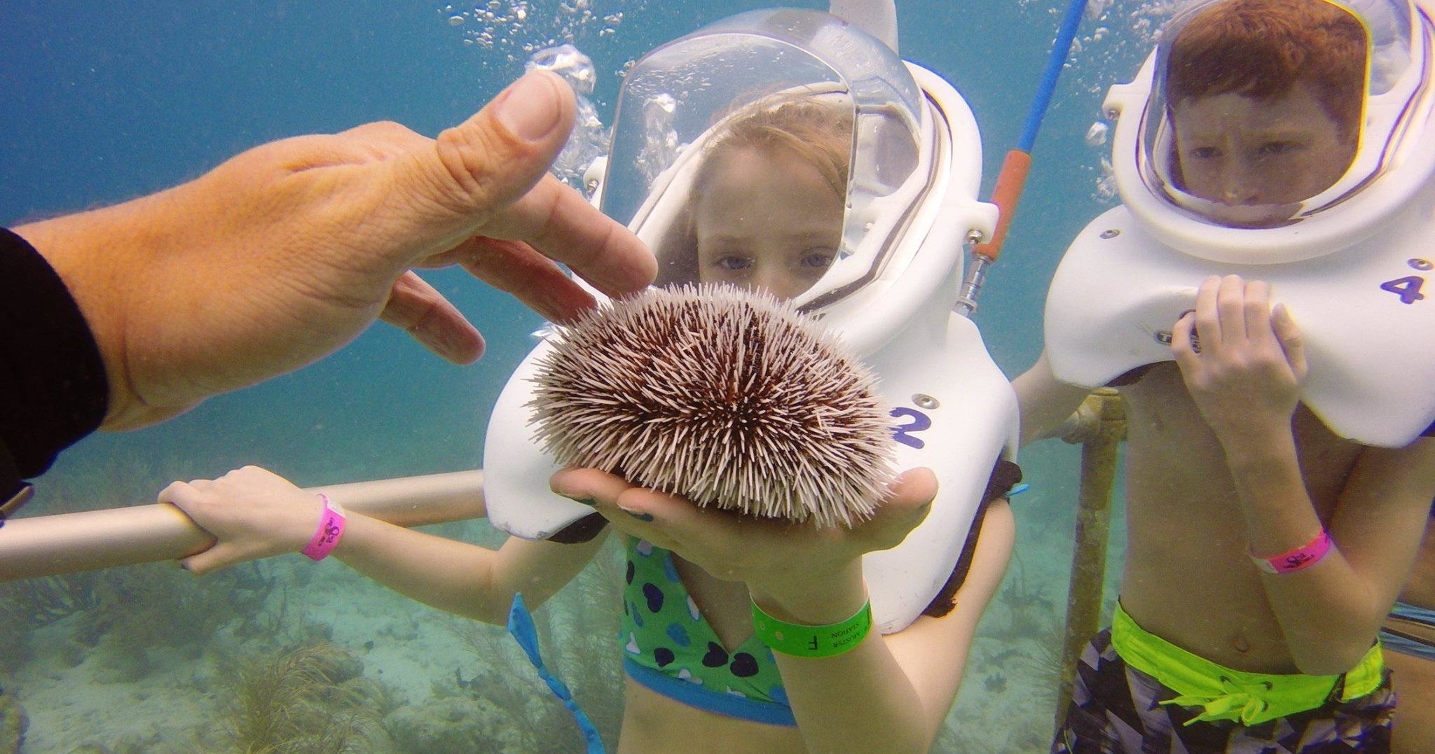 Coral World Ocean Park Sea Trek